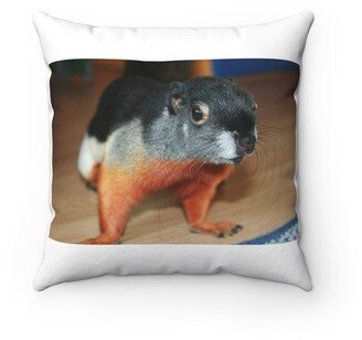 Prevost's Squirrel Pillow - Prevost's Throw Custom Cover Gift Idea Room Decor