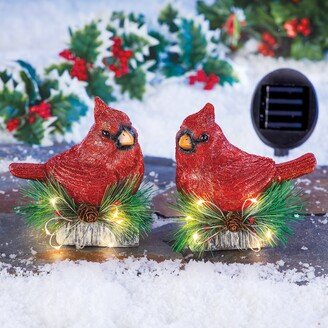 Collections Etc Solar Lighted Cardinal Birds Garden Figurines - 11.880 x 9.500 x 5.880