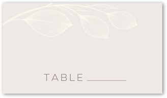 Wedding Place Cards: Novel Matrimony Wedding Place Card, Grey, Placecard, Matte, Signature Smooth Cardstock