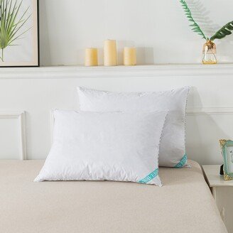 Antimicrobial White Down Blend Pillow