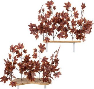 On2Pets Autumn Cat Canopy Shelves - Purple - 2ct