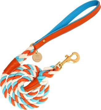 Poisepup Pet Dog 5ft Long Leash - Vibrant Sunset