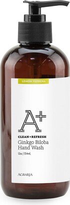 12 oz. Lemon Verbena A+ Ginkgo Biloba Hand Wash