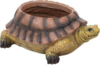 Sunnydaze Decor 11 in Polyresin Teddy the Tortoise Indoor/Outdoor Garden Planter