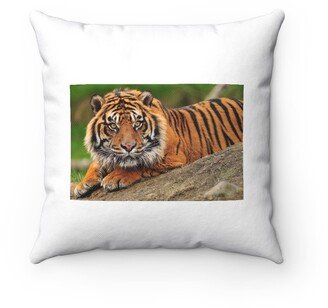 Sumatran Tiger Pillow - Throw Custom Cover Gift Idea Room Decor