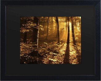 Philippe Sainte-Laudy Morning Light Matted Framed Art - 15 x 20