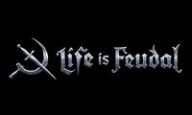 Life is Feudal Promo Codes & Coupons