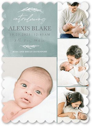 Birth Announcements: Watercolor Beginnings Birth Announcement, Green, 5X7, Pearl Shimmer Cardstock, Scallop