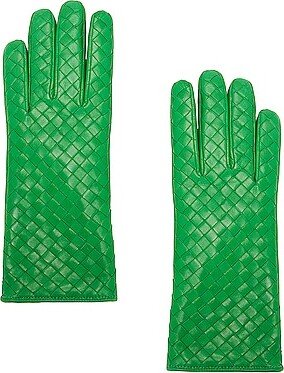 Leather Gloves in Green