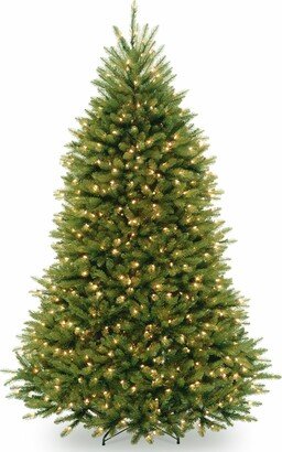 National Tree Company Pre-lit Artificial Christmas Tree | Includes Pre-strung White Lights