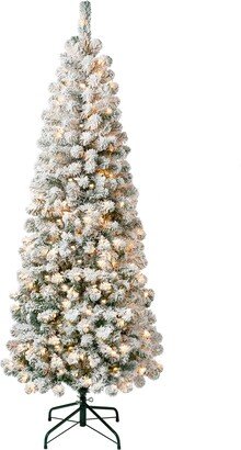 National Tree Company First Traditions 6' Acacia Medium Flocked Tree with Clear Lights