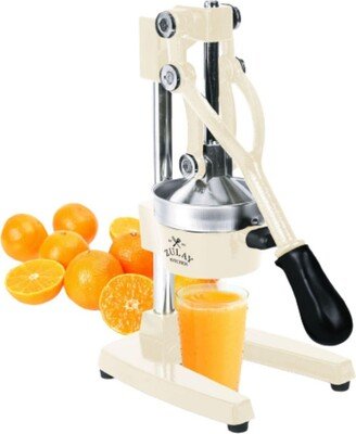 Professional Heavy Duty Citrus Juicer