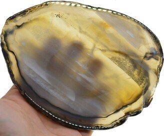 Natural mm Inch Extra Large Genuine Black Brown Clear Crsytal Quartz Brazilian Agate Slice Oval Wedding Coaster Display