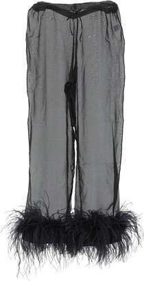 Sheer High Waist Pants