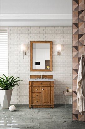 James Martin Vanities Bristol 29 Rectangular Mirror, Saddle Brown