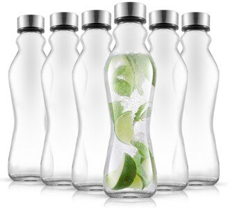 Spring Glass 18 Oz Insulated Water Bottles with Stainless Steel Cap Set, 6 Pieces