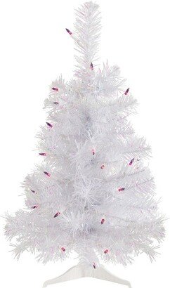 Northlight 2' Pre-lit Rockport White Pine Artificial Christmas Tree, Purple Lights