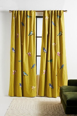 Silvia Curtain