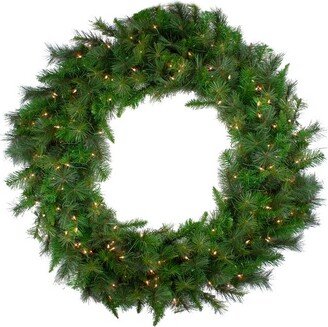 Northlight Canyon Pine Mixed Artificial Christmas Wreath - 48-Inch, Clear Lights