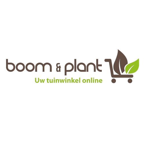 Boomenplant.be Promo Codes & Coupons