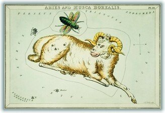 Stanley Print House Astronomical Chart Illustration Of Aries And Musca Borealis