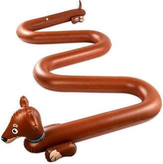 BigMouth Inc Weiner Dog Sprinkler