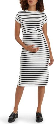 Lydia Stripe Knit Maternity Dress