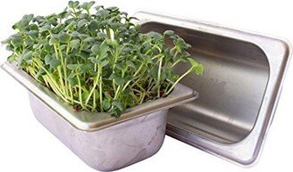 Trellis + Co. Stainless Steel Hydroponic Microgreens Growing Kit - 2 Pack