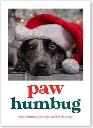 Holiday Cards: Paw Humbug Christmas Card, White, 5X7, Christmas, Matte, Signature Smooth Cardstock, Square