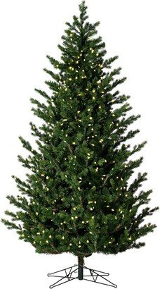 7.5' x 60 Eagle Fraser Full Artificial Christmas Tree with Warm White Dura-lit LED Lights In a 21Lx21Wx7H base.