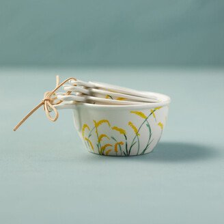 Goldenrod Ceramic Measuring Cups