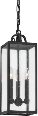 Caiden Lantern Outdoor Pendant Light