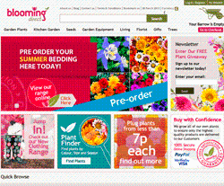 Blooming Direct Promo Codes & Coupons