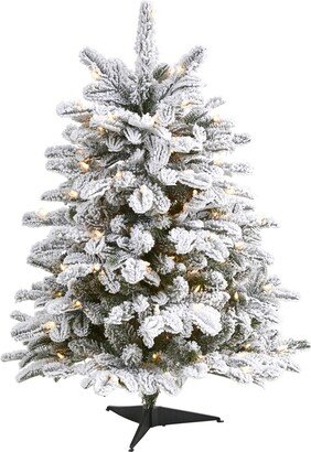 Flocked North Carolina Fir Artificial Christmas Tree with Lights and Bendable Branches, 36