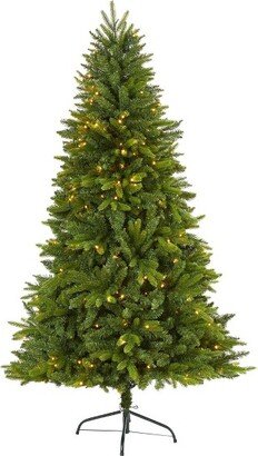 6' Sun Valley Fir Prelit LED Artificial Christmas Tree