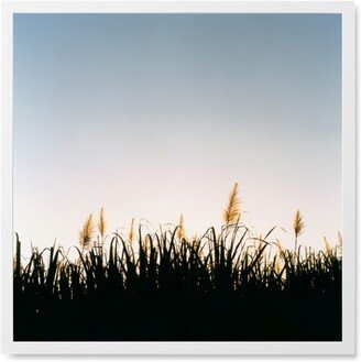 Photo Tiles: Grass Field Photo Tile, White, Framed, 8X8, Multicolor