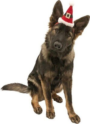 Midlee Dog Santa Hat Headband for Large Dogs