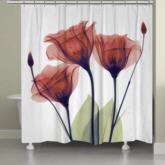 Gentian Red X-Ray Flowers Shower Curtain