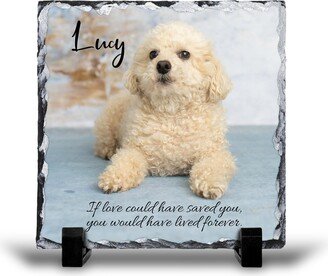 If Love Could Have Saved You Stone, Pet Memorial Gift, Gift For Loss Of Cat, Sympathy Gifts, Dog Gifts