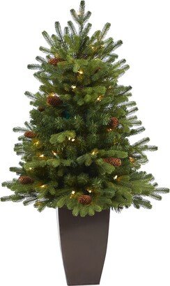 3.5' Yukon Mountain Fir Artificial Christmas Tree with 50 Clear Lights and Pine Cones in Bronze Metal Planter