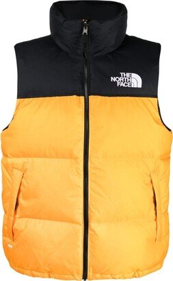 1996 Retro Nuptse down gilet-AA