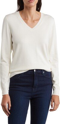 DR2 by Daniel Rainn Fiona V-Neck Pullover Sweater