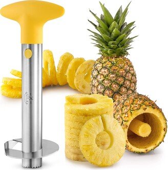 Stainless Steel Pineapple Cutter for Easy Core Removal & Slicing