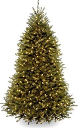 National Tree Company 6ft National Christmas Tree Company Pre-Lit Dunhill Fir Artificial Christmas Tree with 600 Clear Lights