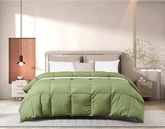 All-Season Feather & Down Comforter-AE