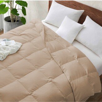 Lightweight Down Duvet Comforter