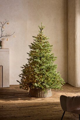 Faux Pre-Lit Fraser Fir