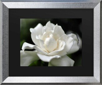 Kurt Shaffer Lovely Gardenia Matted Framed Art - 27 x 33