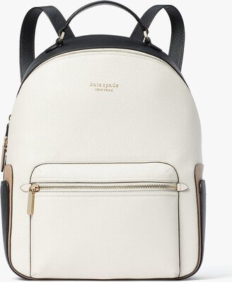 Hudson Colorblocked Large Backpack