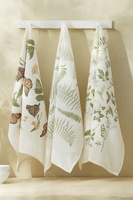 Women's Monarchs and Milkweeds Flour Sack Towel - Ivory/Orange